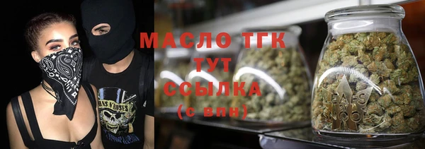дмт Осташков
