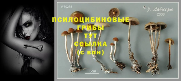 дмт Осташков