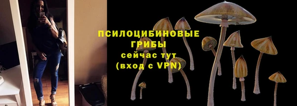 спайс Пестово
