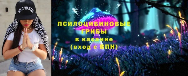 МДПВ Остров