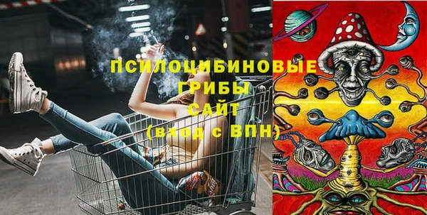 дмт Осташков