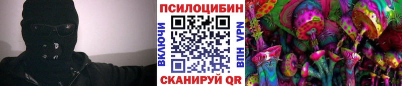 купить   Краснокаменск  Псилоцибиновые грибы мухоморы 
