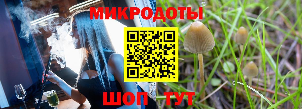 Краснокаменск  Псилоцибиновые грибы Magic Shrooms  Вход с VPN  Галлюциногенные грибы прущие грибы 